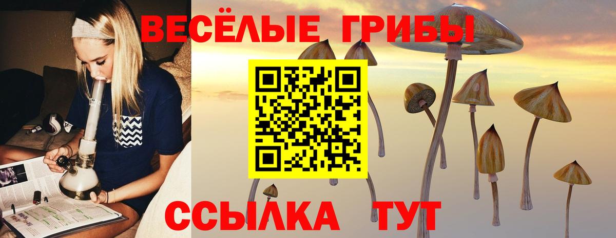 Ленинск-Кузнецкий  Галлюциногенные грибы мицелий  Вход с VPN 